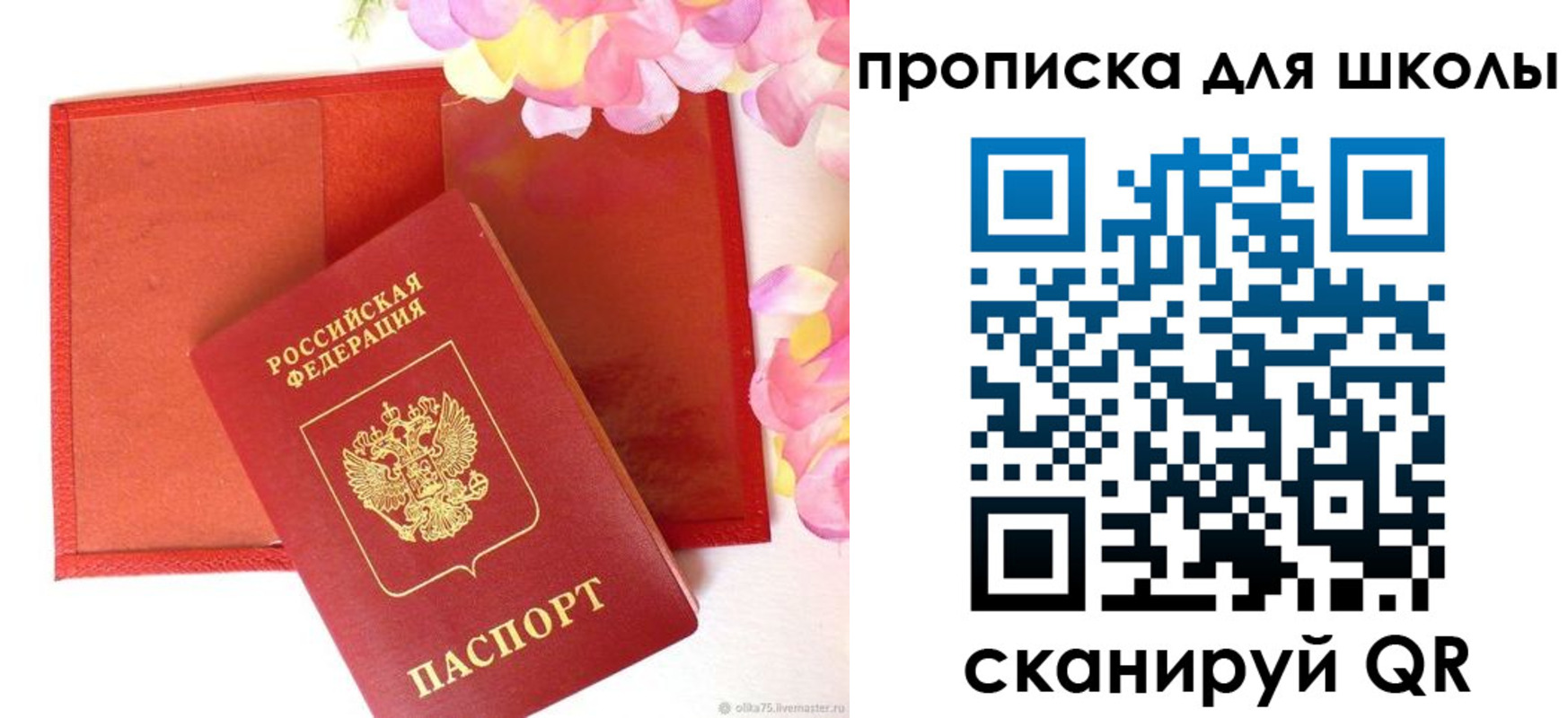 временная регистрация для всех в Московской области