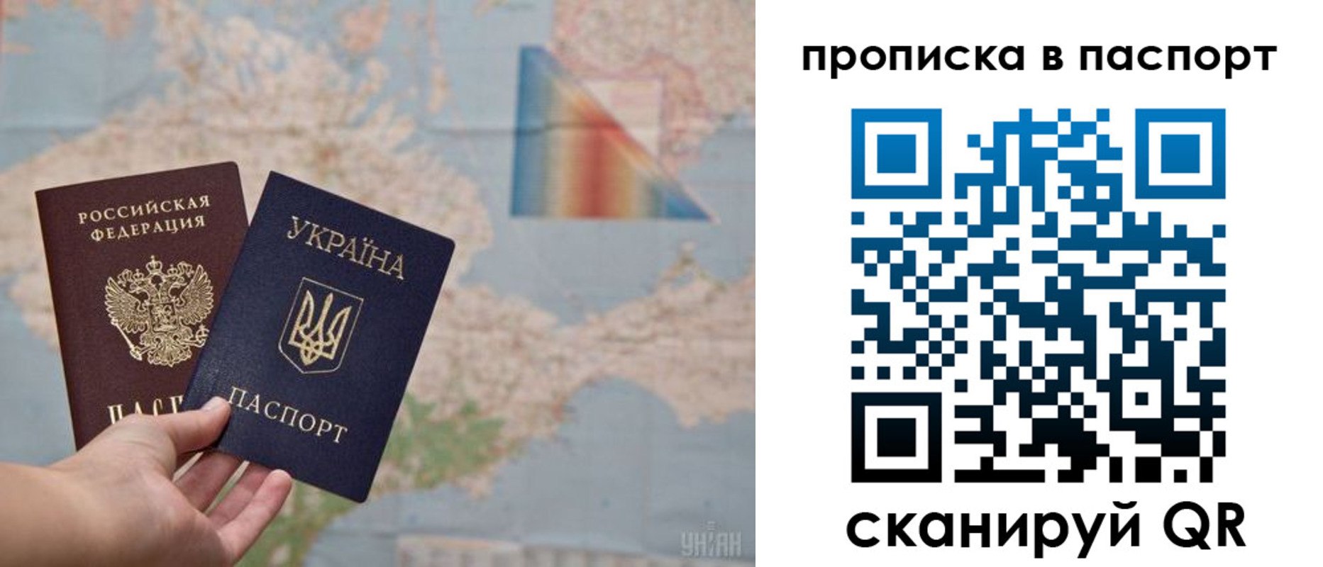 прописка поиск в Московской области